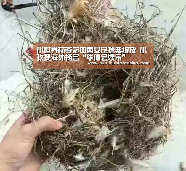 小世界杯夺冠中国女足瑞典绽放 小玫瑰海外扬名“华体会娱乐”(图3) 华体会下载