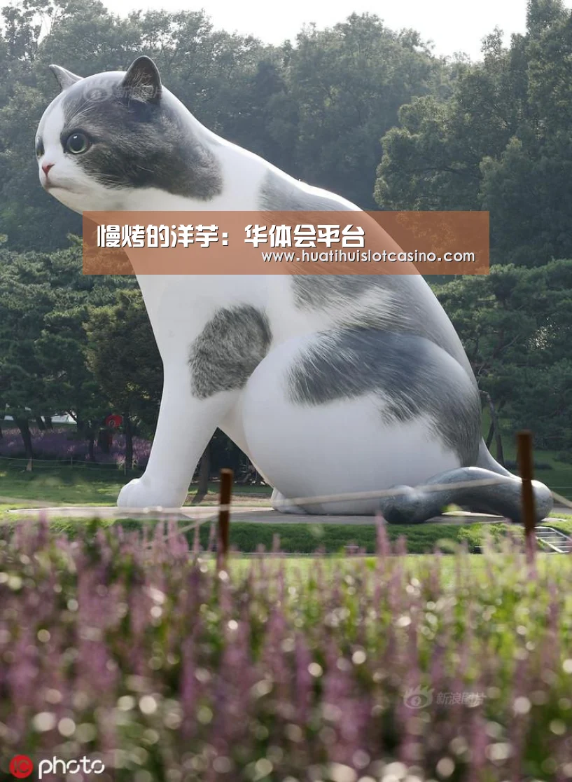 华体会电竞