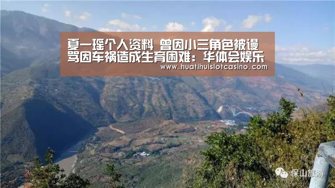 夏一瑶个人资料 曾因小三角色被谩骂因车祸造成生育困难:华体会娱乐(图2) 华体会平台